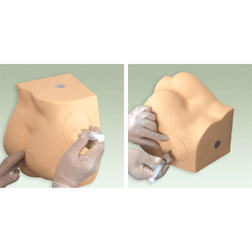 �β�ע�䌍��ģ��