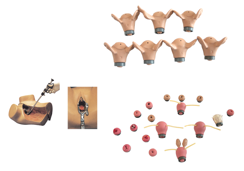 高級(jí)婦科綜合檢查訓(xùn)練模型 高級(jí)婦科綜合檢查訓(xùn)練模型