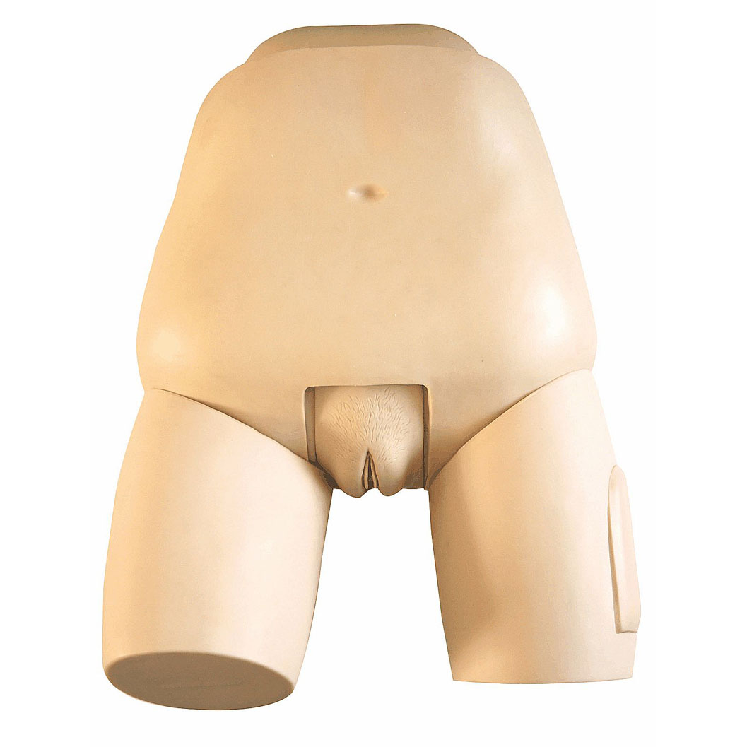 �߼��ӌm�יz���u��ģ��