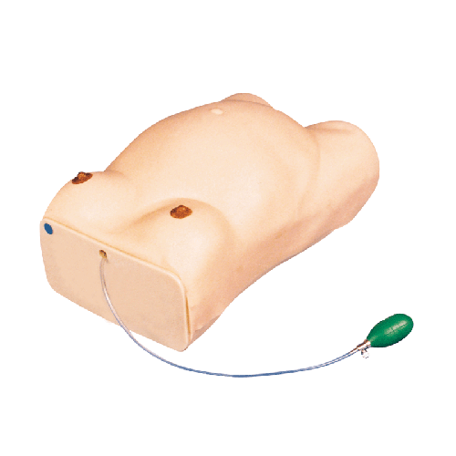 �߼��ЋD�z��ģ��