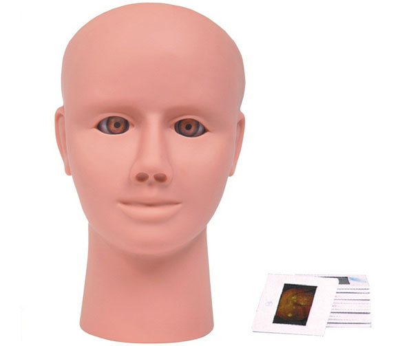 �߼��ۃ�(n��i)ҕ�W(w��ng)Ĥ��׃�z��ģ��