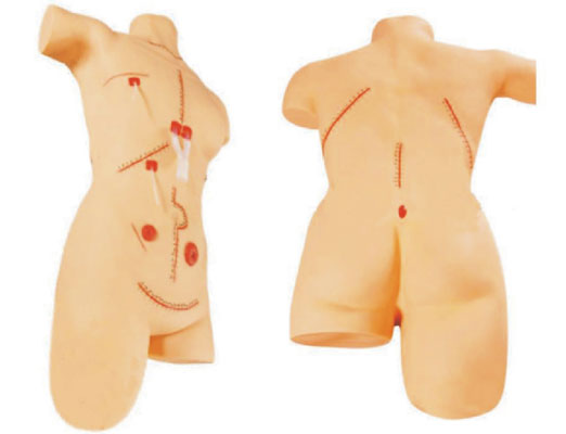 ��������ģ��