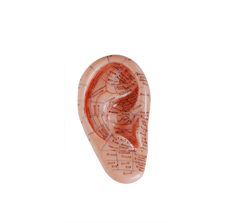 ��Ħ��ģ��