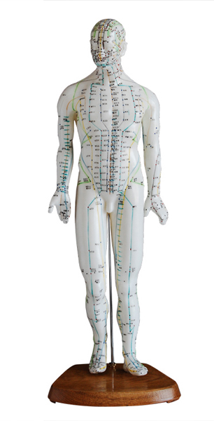 ���wᘾ�ģ�ͣ����ԣ� ��46cm