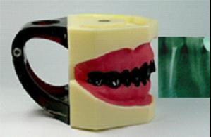 ��ǻX���zƬģ��