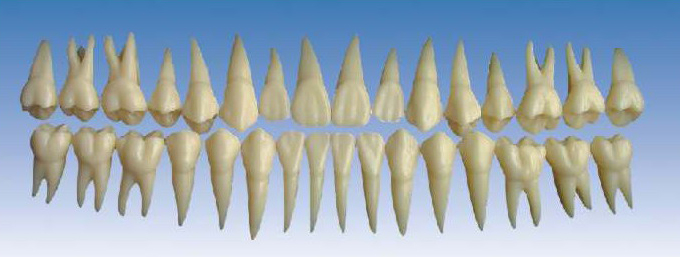 ��ɫ����ģ��(�Ŵ�2��)