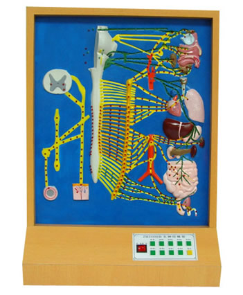 ������(j��ng)늄�ģ��