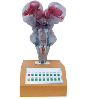 늄�(d��ng)�X��ģ��(I��)