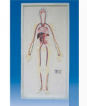 ����ʽȫ���܇���(j��ng)늄�(d��ng)ģ��