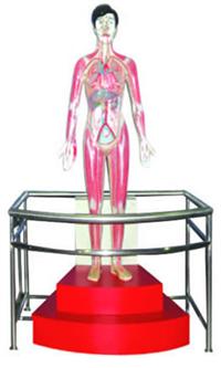 ΢��X���w�Ą������c����Сѭ�h(hu��n)��ʾ�x