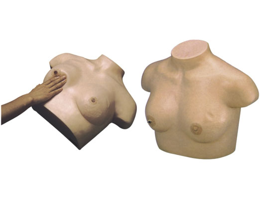 高級(jí)乳腺視診與觸診模型 高級(jí)乳腺視診與觸診模型