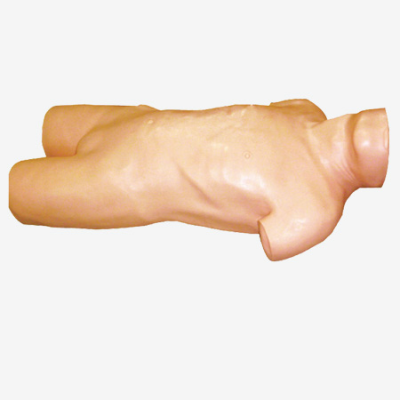 高級(jí)骨髓穿刺模型 高級(jí)骨髓穿刺模型