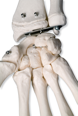 �M(j��n)�ژ�(bi��o)��(zh��n)������Stan