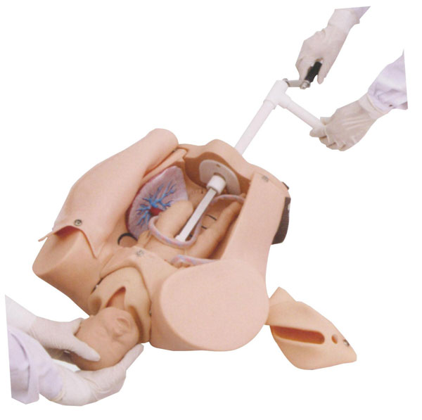 �֓uʽ����C(j��)�D(zhu��n)ʾ��ģ��