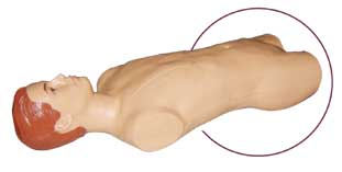 �߼���ǻ����Ӗ(x��n)��ģ��